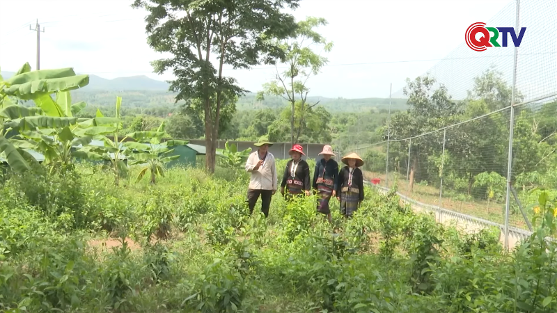 xay-dung-chuoi-cung-ung-khep-kin-huong-di-ben-vung-tu-hop-tac-xa-phat-trien-nong-nghiep-va-du-lich-ben-vung-xy